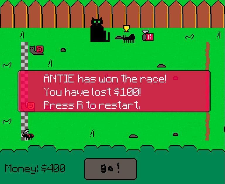 Bug race