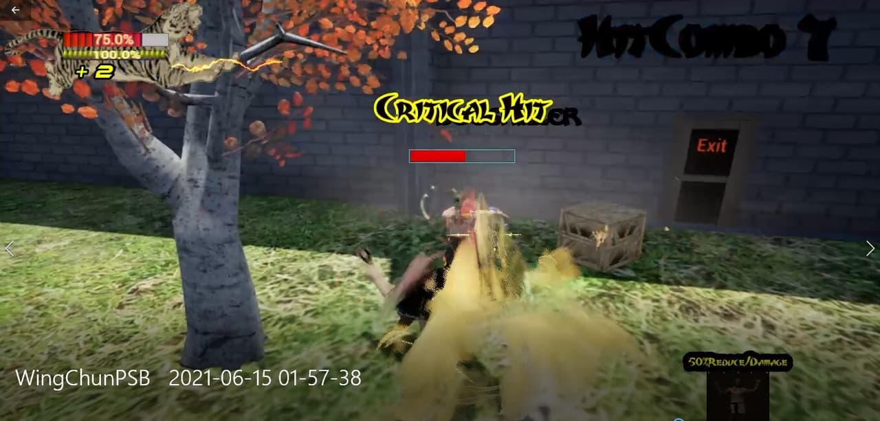 Wing Chun Pak Sung Bo Legends screenshot 4