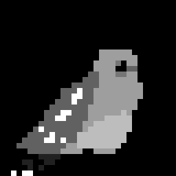 Magical Birds