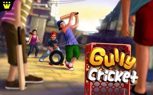 Gully Cricket Game - 2018