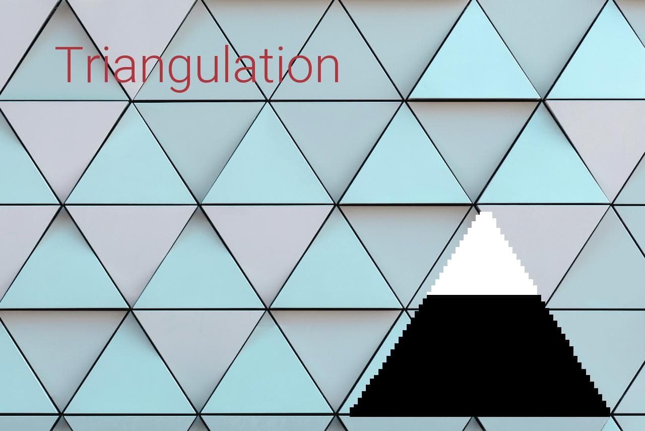 Triangulation (Sanguinaris)