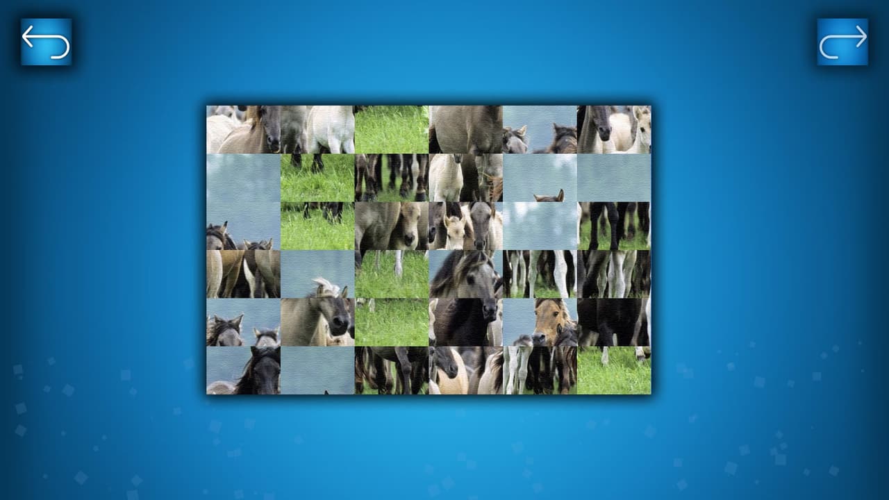 PUZZLE: ANIMALS screenshot 6