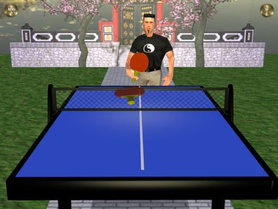 Zen Table Tennis screenshot 3