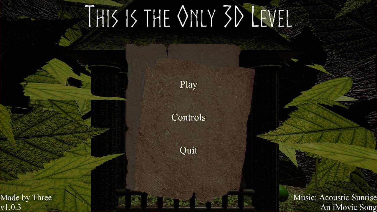 This is the Only 3D Level screenshot 2