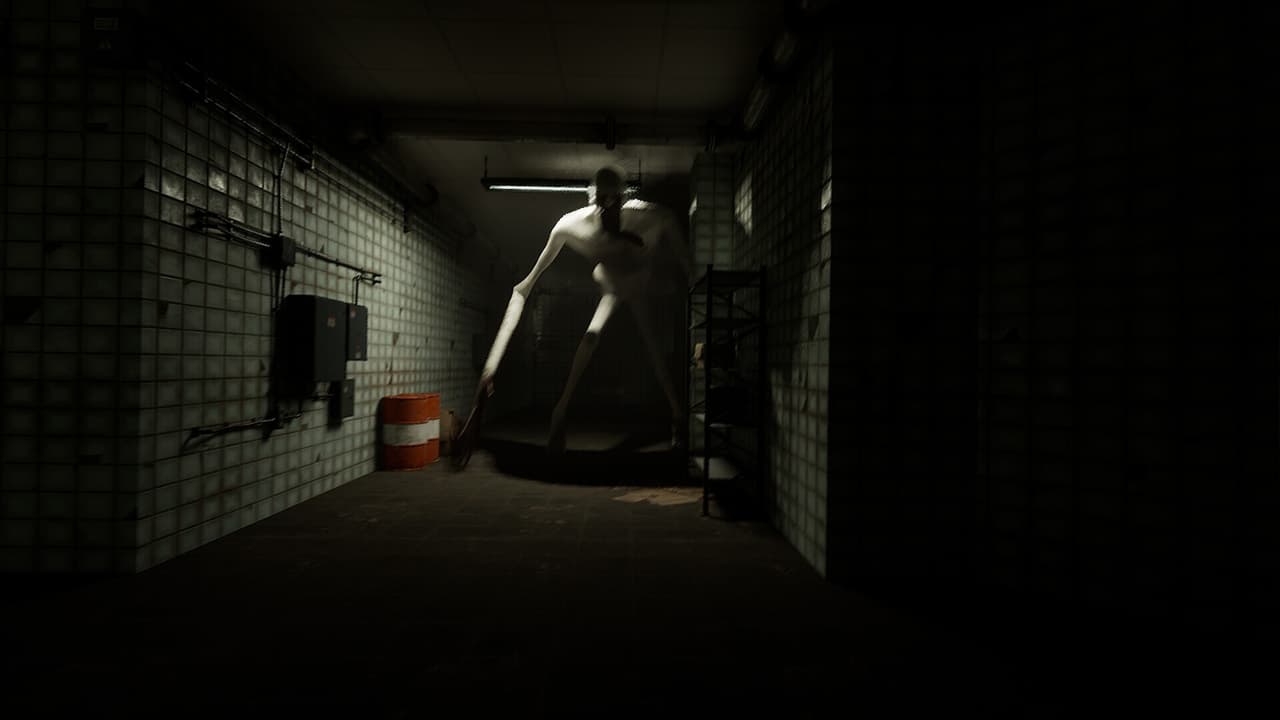 EXPERIMENTS