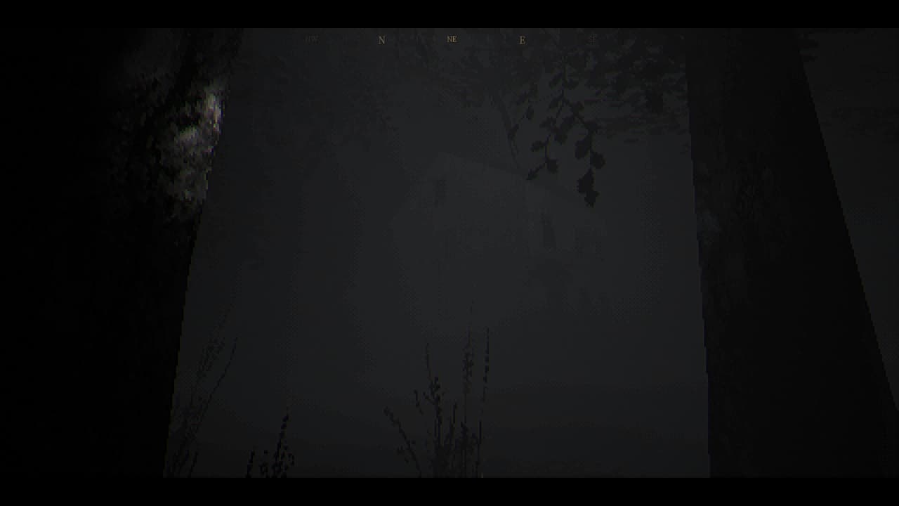 The House In The Woods