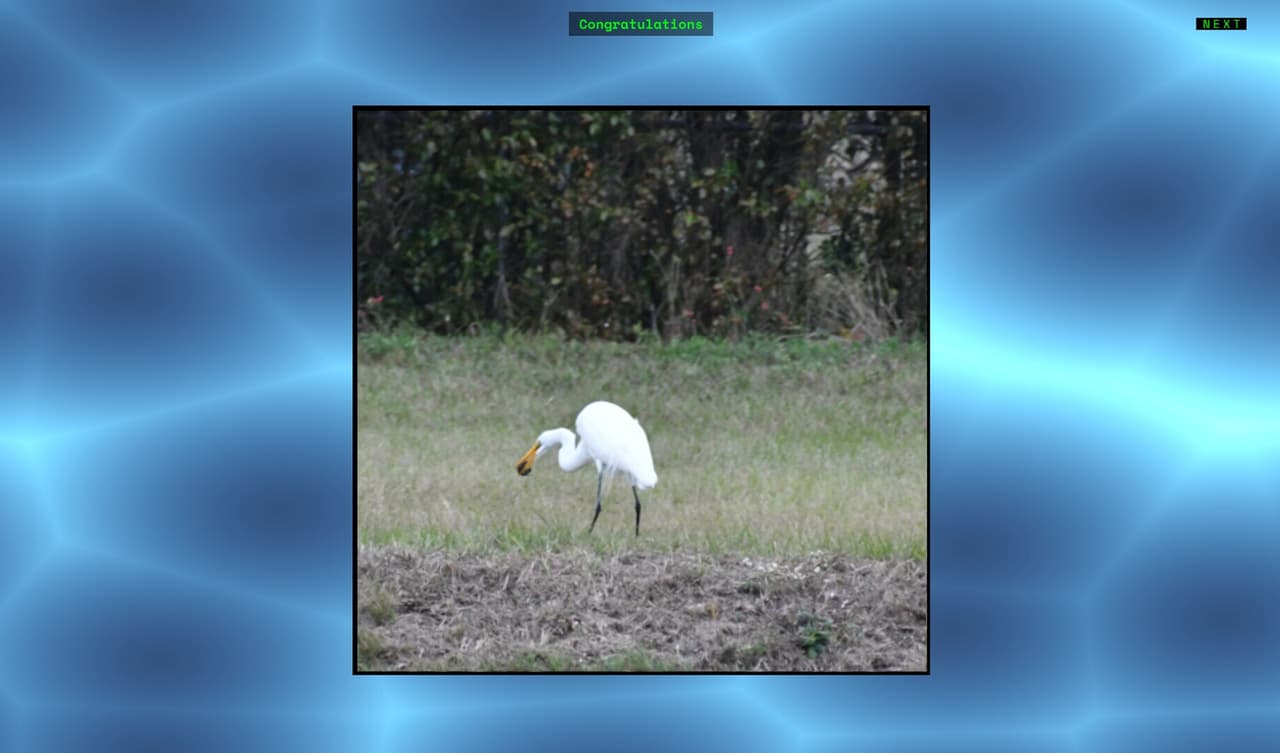 Jons Jigsaw Puzzle screenshot 6
