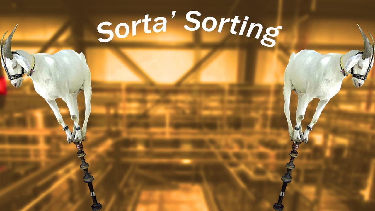 Sorta sorting