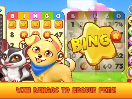 Bingo Pet Rescue screenshot 5