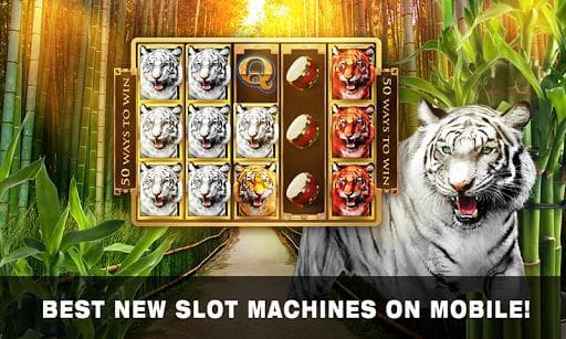 Slots Tiger King Casino Slots screenshot 3