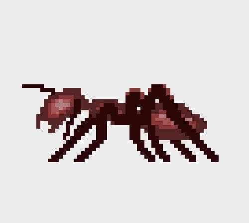 Ant Farm!
