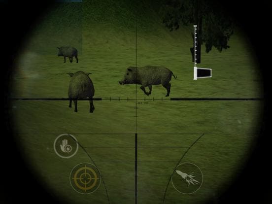 Jungle Animal Hunter Pro 2017 screenshot 5