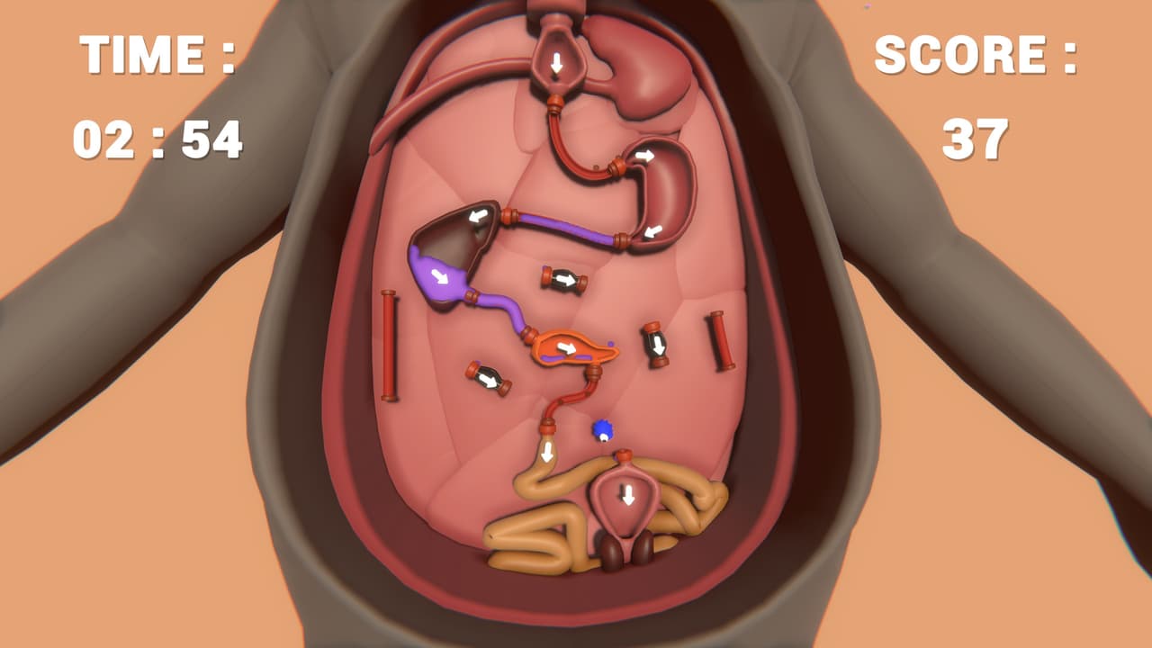 Almost Accurate Body Simulation (AABS) screenshot 4