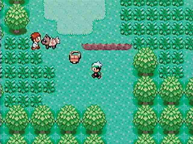 Pokémon Ruby, Sapphire, Emerald screenshot 5