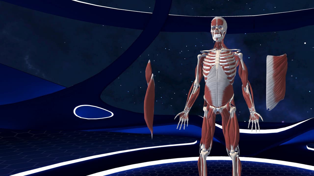 Human Anatomy VR screenshot 3