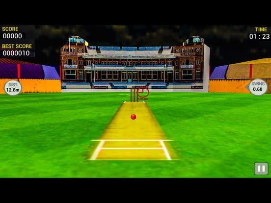 Cricket Run Out 3D screenshot 2