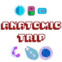 Anatomic Trip