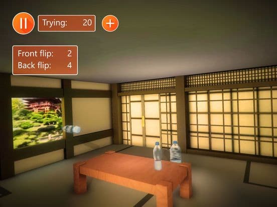 Bottle Flip 3D Arcade