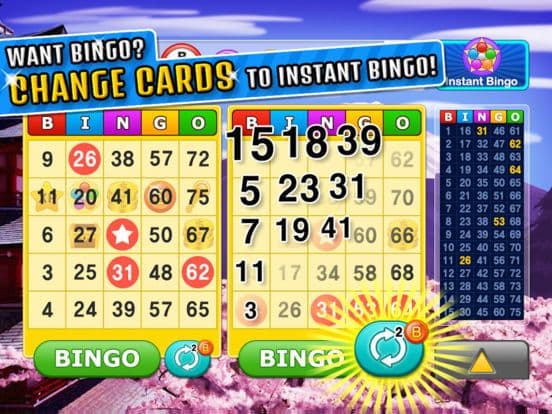 Bingo Craze! screenshot 4