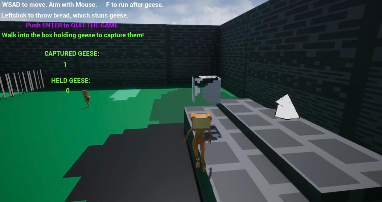 Nottingham Goose Catcher Prototype screenshot 3