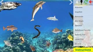 Animal Discovery screenshot 4