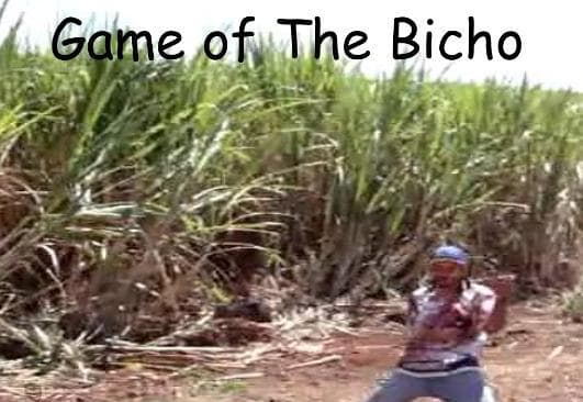 Game of The Bicho