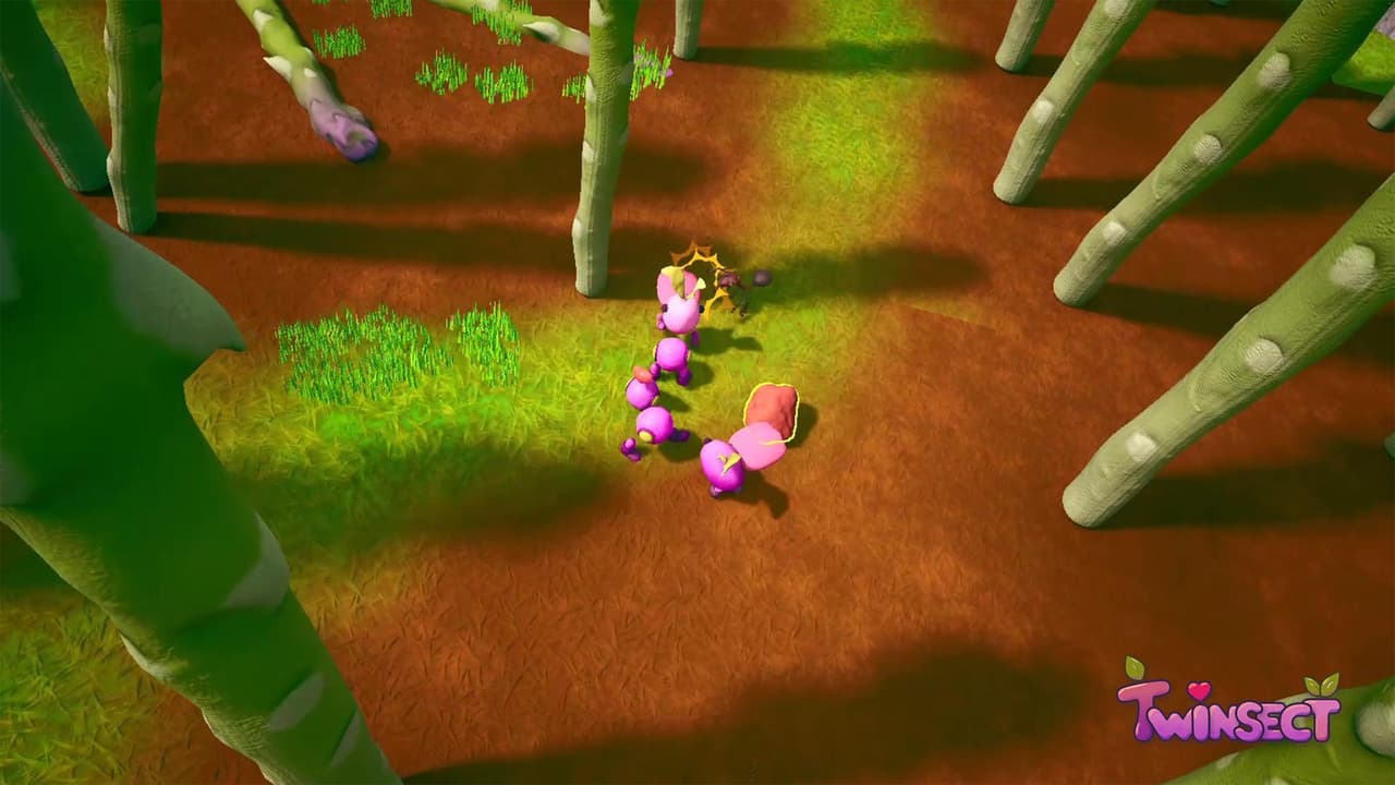 Twinsect screenshot 4