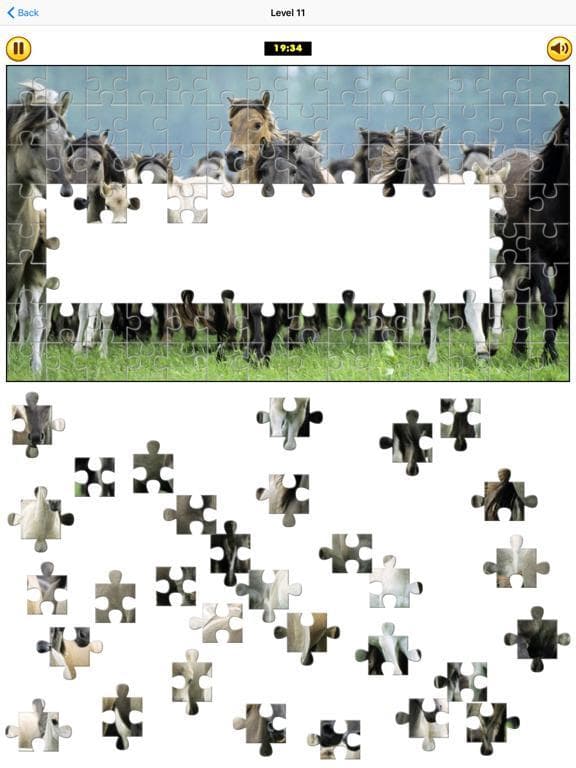 Puzzle Collection: Animals screenshot 3