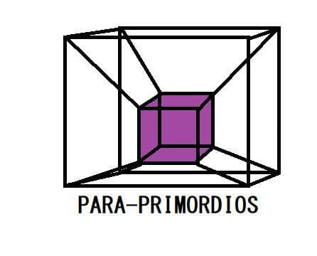 Para-primordios