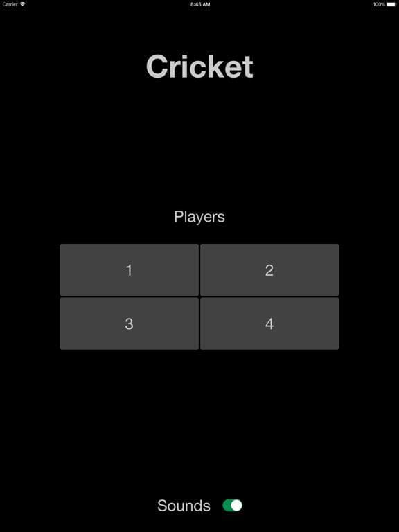 Cricket Darts Scoreboard screenshot 3