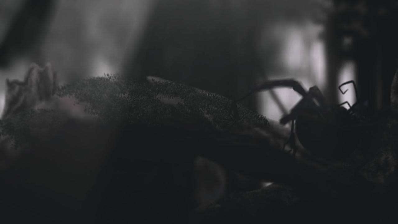 I Like Walking Very Much screenshot 3