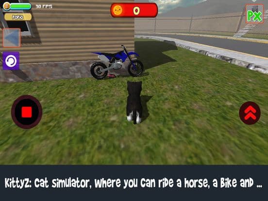 KittyZ: Cat Simulator where you can ride screenshot 2