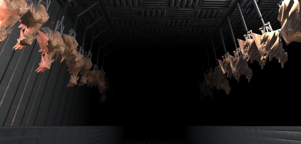 The Belly of the Beast