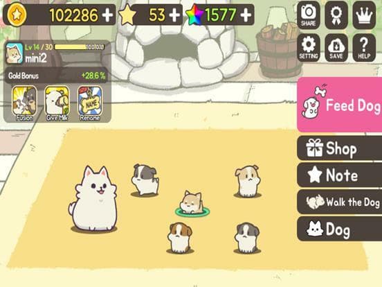 FeeDog with Angel - Raising Puppies