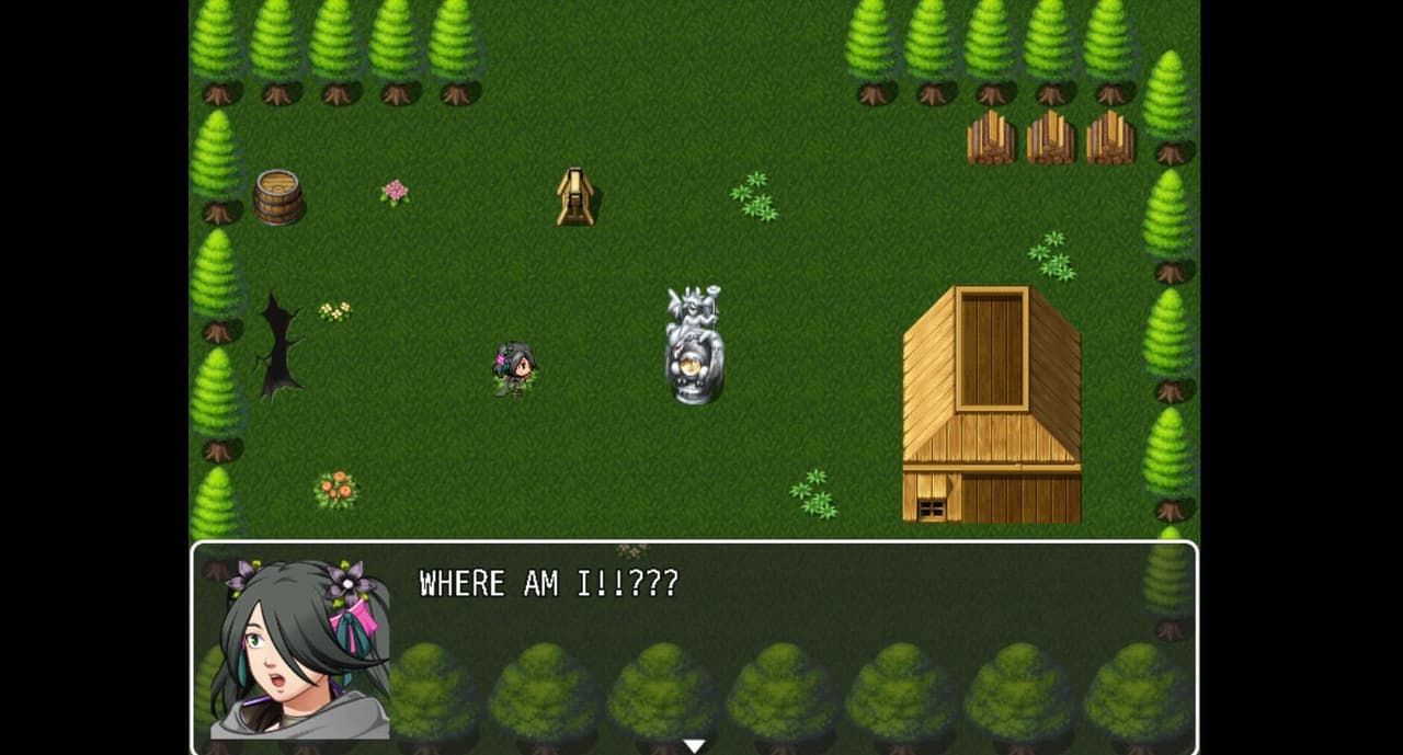 Shadow of the past (DEMO) screenshot 5