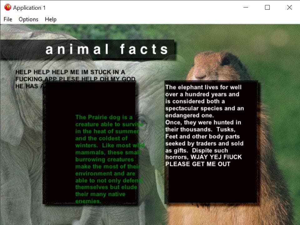 animal facts