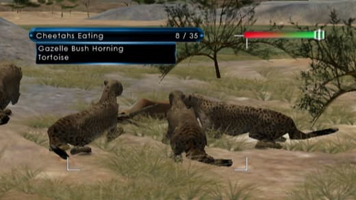 Wild Earth: African Safari screenshot 5