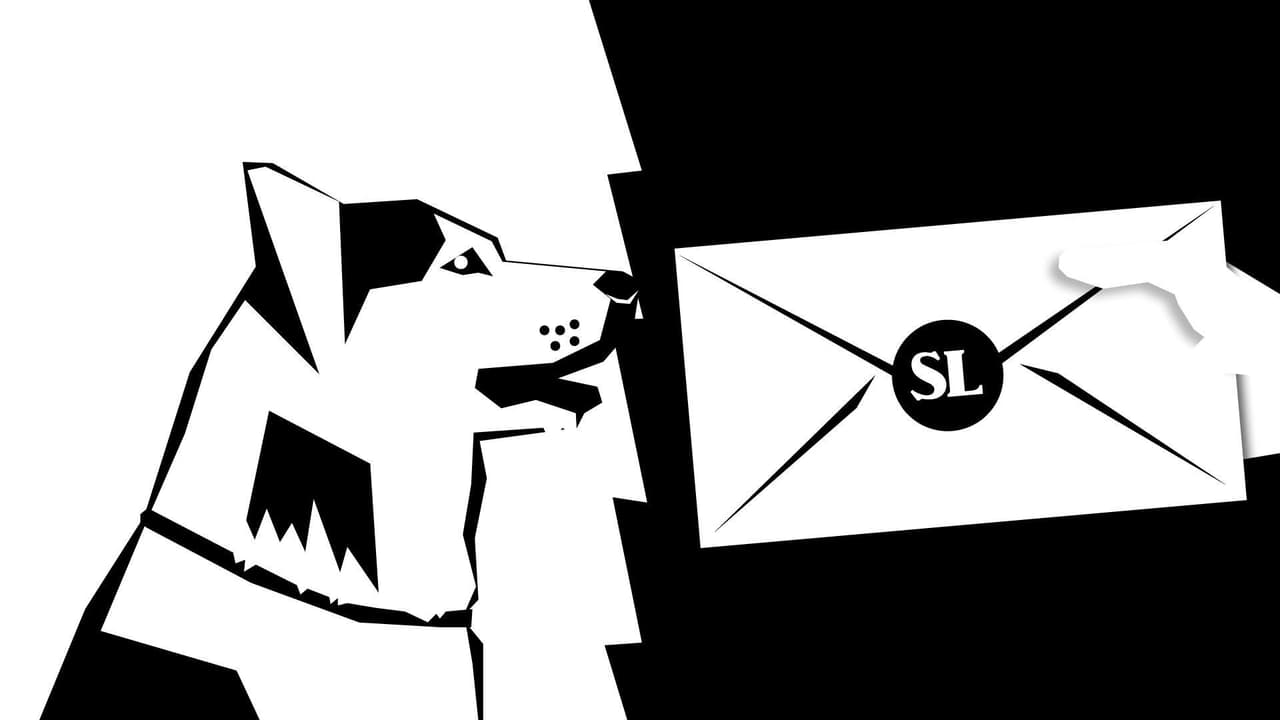 Post Barks