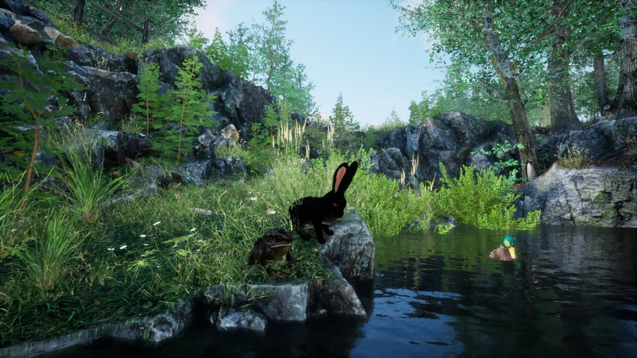 Rabbit Meadow (itch) screenshot 2