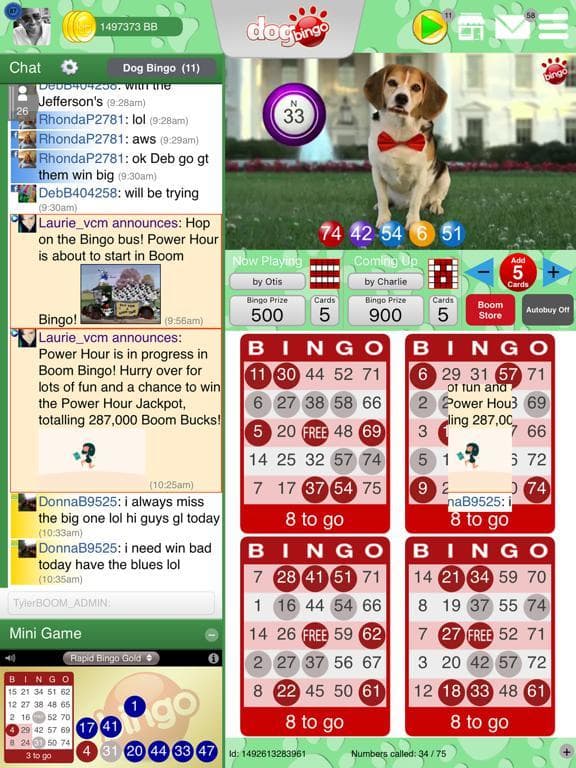 DOG BINGO - Live Dog Bingo & Slots!