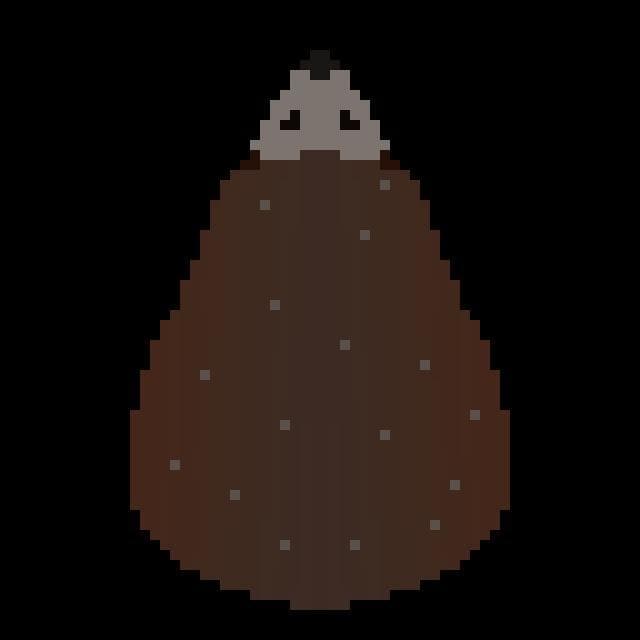 Hedgehog Life