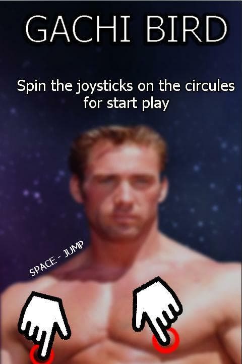 Gachi Bird (Ray Dostoewsky) screenshot 2