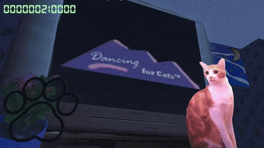 Dancing For Cats (jwhop)
