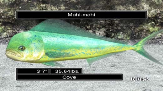Reel Fishing Ocean Challenge screenshot 4