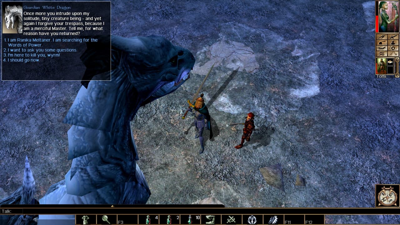 Neverwinter Nights: Enhanced Edition screenshot 6