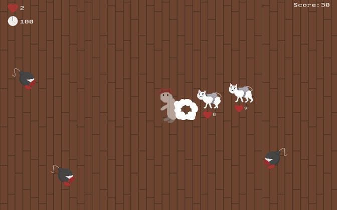 Cat Pack