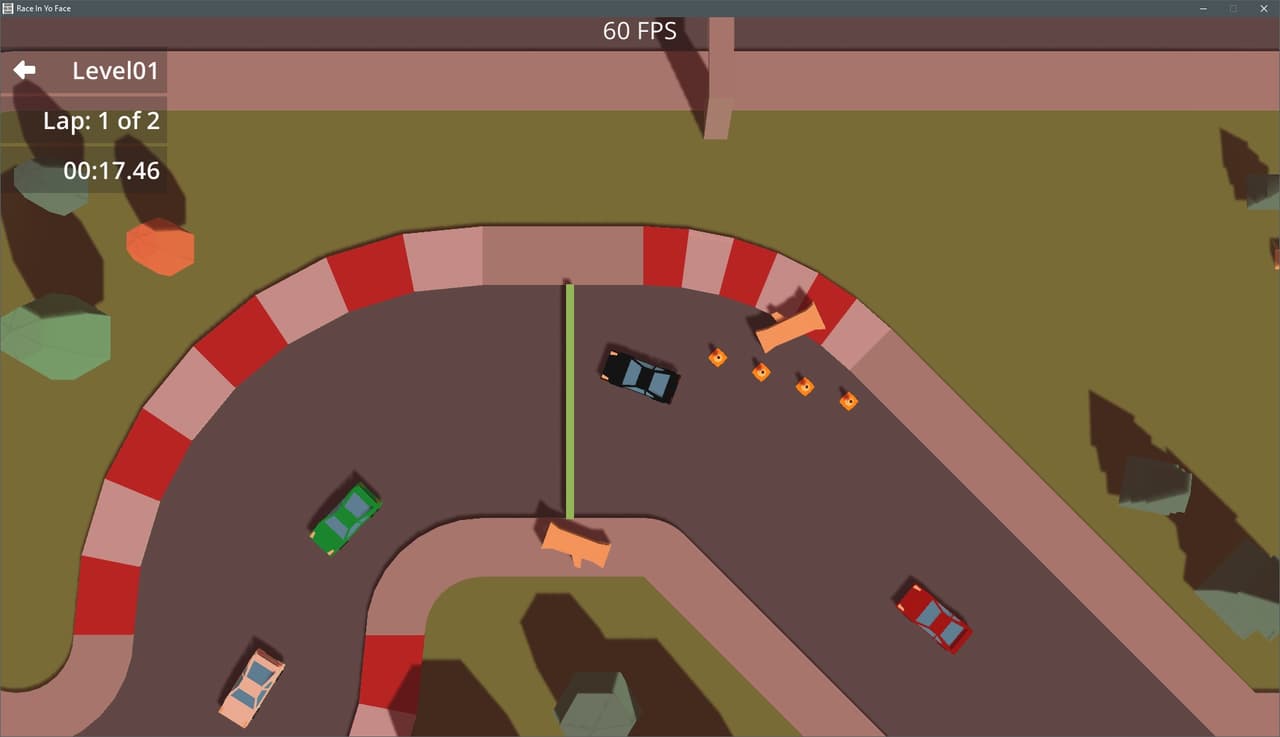 Race In Yo Face