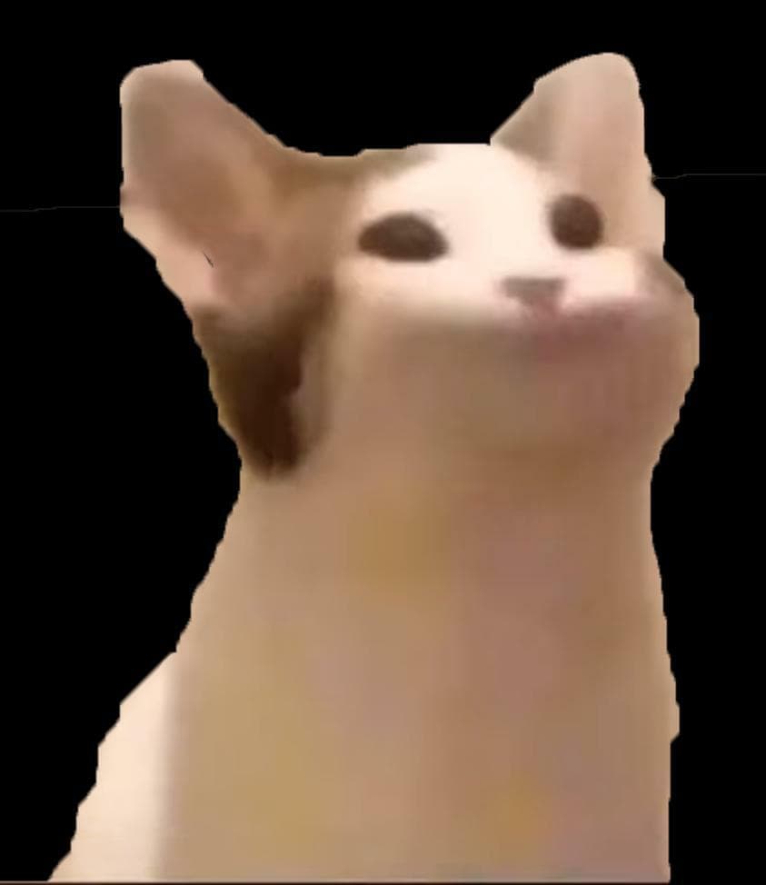 Feed the Pop Cat