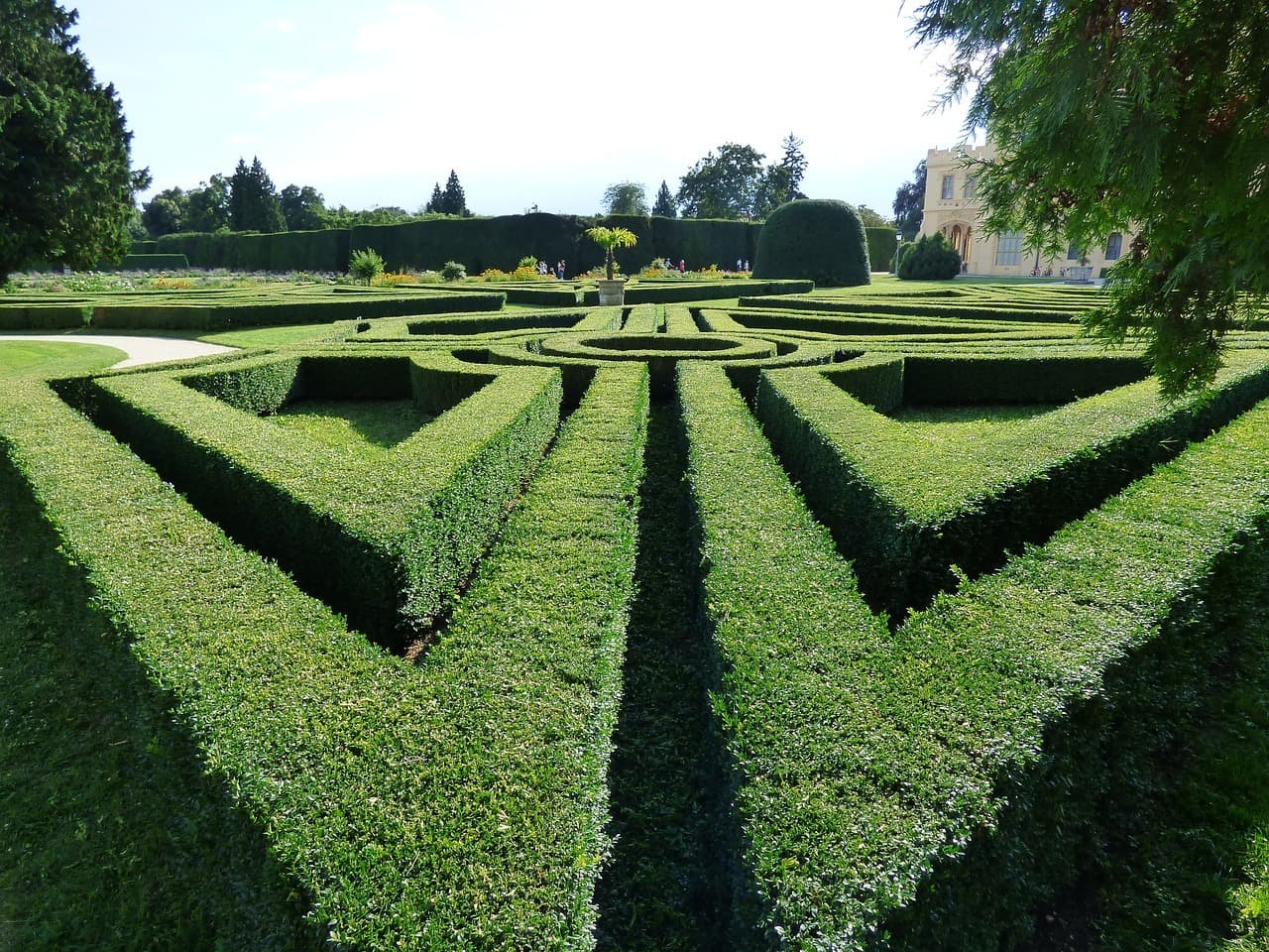 Auntychristos maze