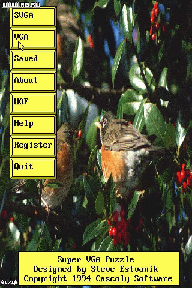 Super VGA Puzzle screenshot 4